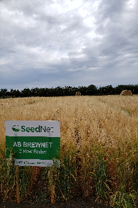 AB BrewNet